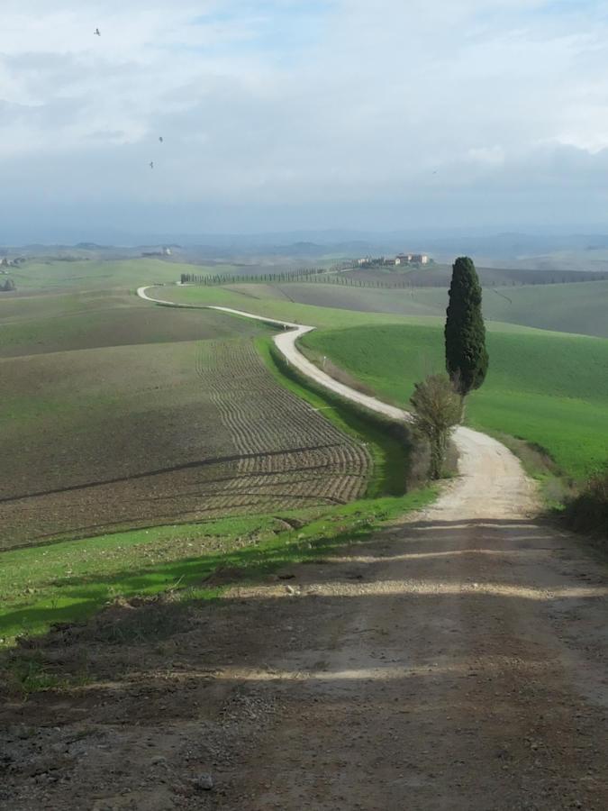 Gli Archi Di Corsanello Lejlighed Siena Eksteriør billede