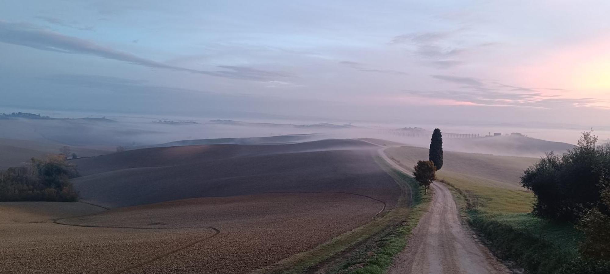 Gli Archi Di Corsanello Lejlighed Siena Eksteriør billede